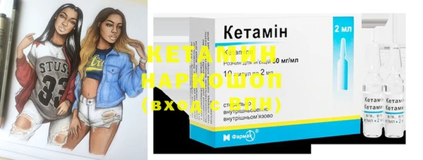 индика Михайловка