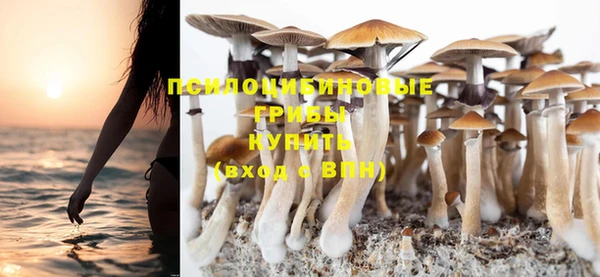 индика Михайловка