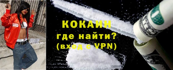 индика Михайловка
