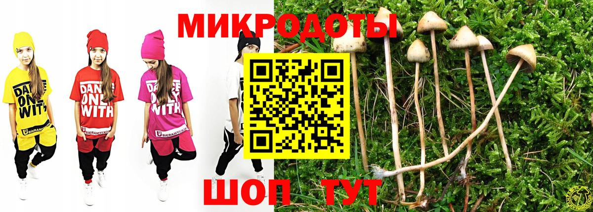 Электросталь  Псилоцибиновые грибы Psilocybine cubensis  Вход с VPN 